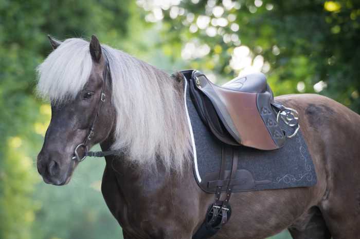 Voor pony's en kleine paarden: De El Piccolino