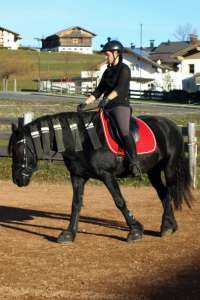 Saddle Dressage Andaluz on Friesian Anja