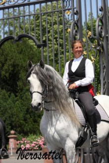 Iberosattel® on spanish horse