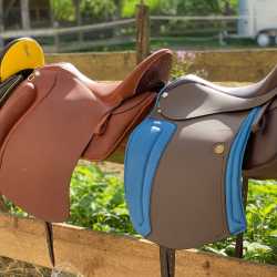 Our exhibition saddles - highlights 2020