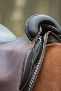 Quarter Horse Luke with Iberosattel® - Fotografin: Sandragrafie