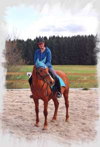 Arabian mare Gui with Iberosattel